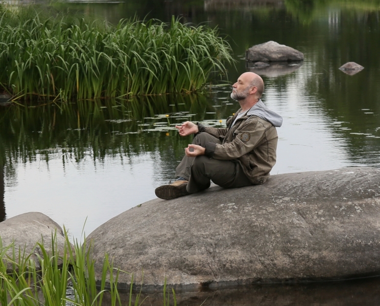 Поговорим о кошках40