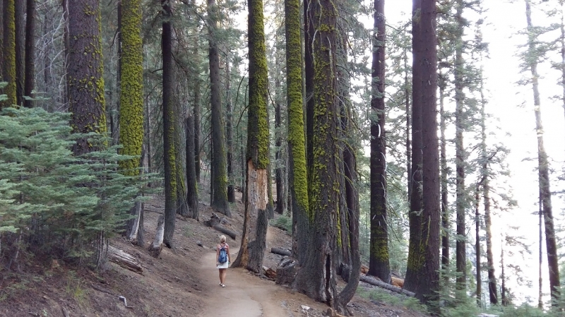 США с Востока на Запад: через горы, пляжи и песочницу