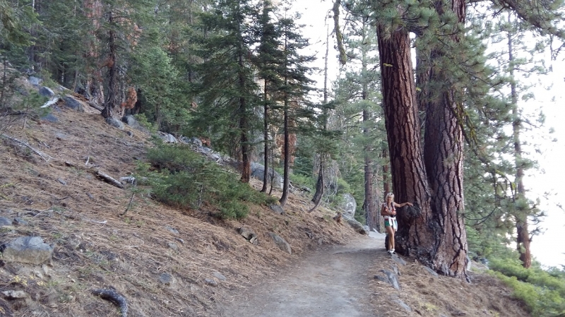 США с Востока на Запад: через горы, пляжи и песочницу