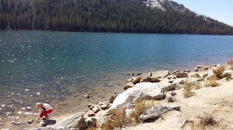 США с Востока на Запад: через горы, пляжи и песочницу