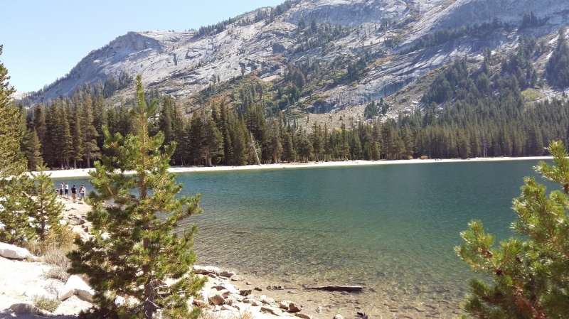 США с Востока на Запад: через горы, пляжи и песочницу