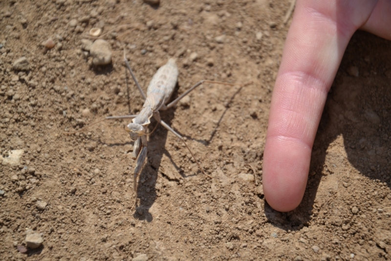 Таврические каникулы. Бархатный сентябрь.