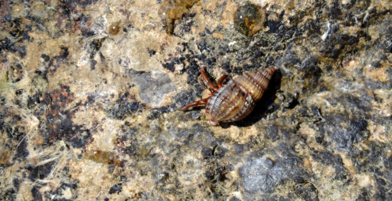 Таврические каникулы. Бархатный сентябрь.