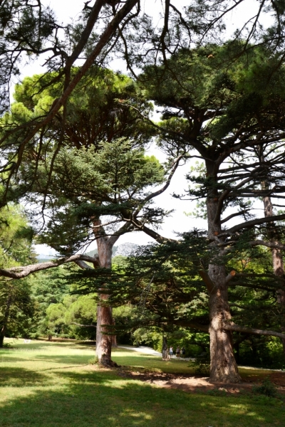 Таврические каникулы. Бархатный сентябрь.