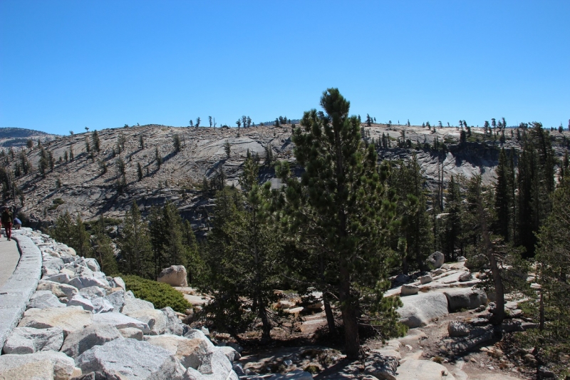 США с Востока на Запад: через горы, пляжи и песочницу