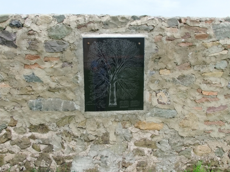 Армения в которую мы не вернемся. Нагорный Карабах, который нас покорил. И Грузия - любовь