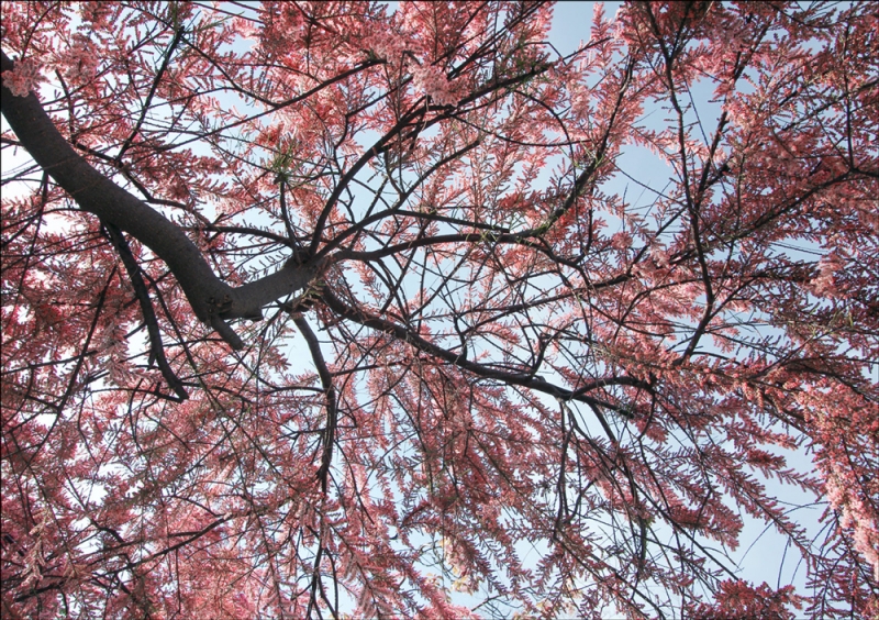 Париж, с 30 апреля по 7 мая 2016