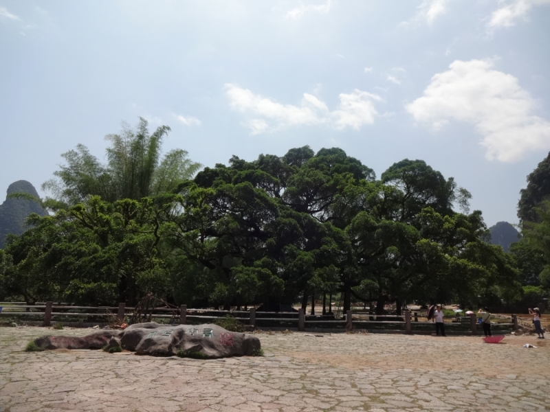 Путешествие, которое изменило жизнь. Месяц в Китае ( 9 городов)