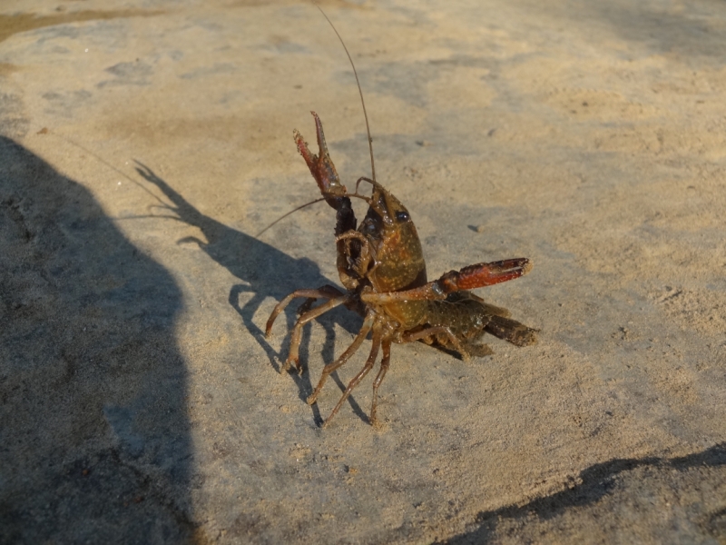Путешествие, которое изменило жизнь. Месяц в Китае ( 9 городов)