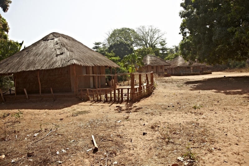 Партизан в двух Гвинеях. Часть 1.