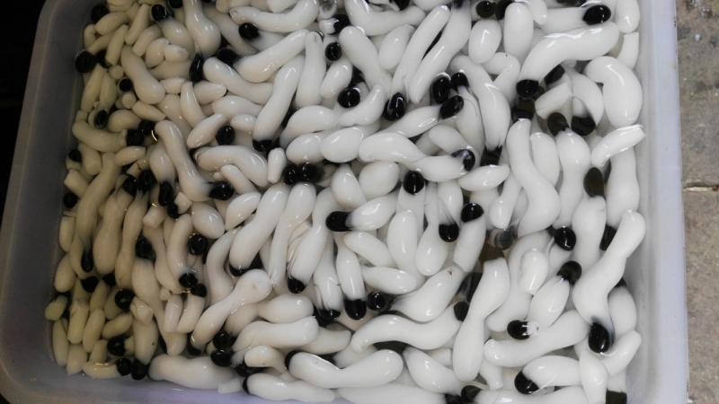 Путешествие, которое изменило жизнь. Месяц в Китае ( 9 городов)