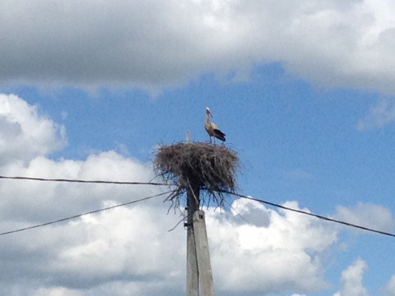 Через термальные источники Венгрии к Австрийским Альпам.