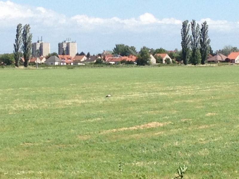 Через термальные источники Венгрии к Австрийским Альпам.