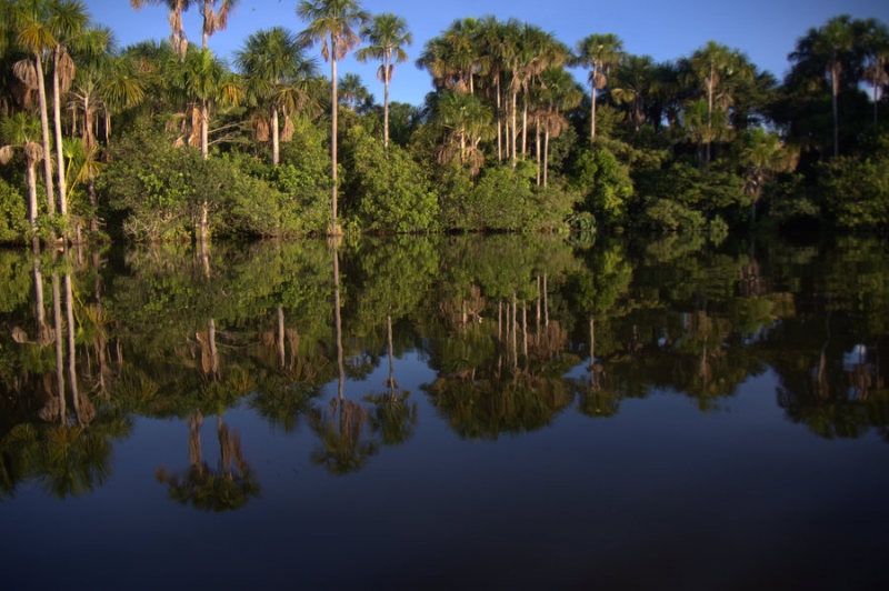 Rio Grande