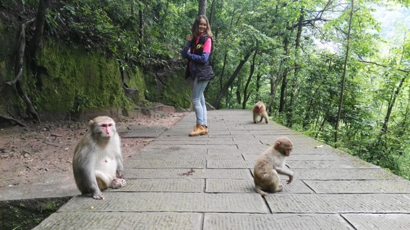 Путешествие, которое изменило жизнь. Месяц в Китае ( 9 городов)
