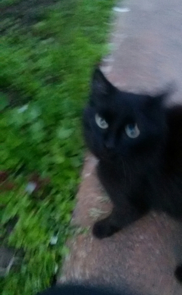 Принял на грудь, скажи что-нибудь! Трезвым вход запрещён!