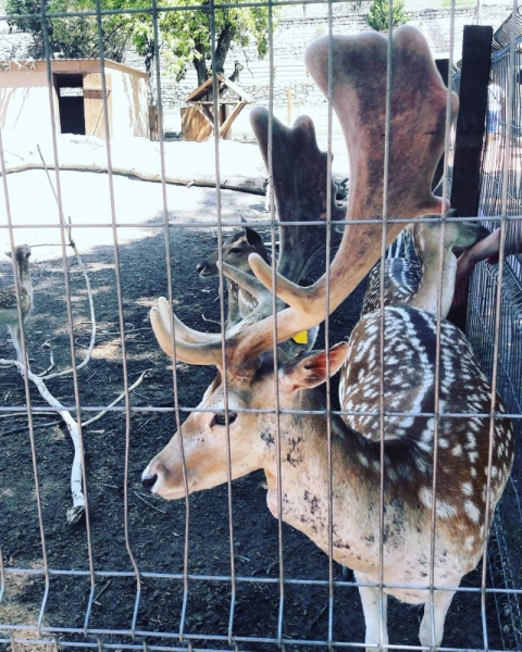 Крым на авто Июль 2016