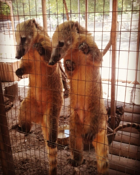 Крым на авто Июль 2016