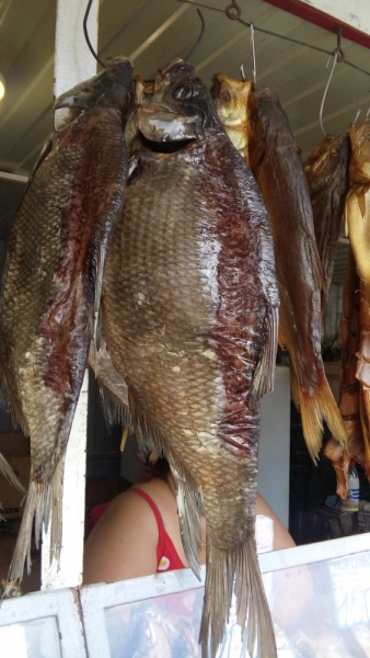 Принял на грудь, скажи что-нибудь! Трезвым вход запрещён!