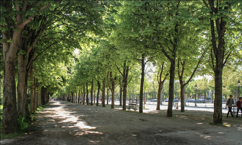 Париж, с 30 апреля по 7 мая 2016