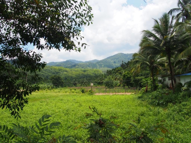 Made in China или Восточные Гавайи! Две недели на юге Китая - в Хайнане!