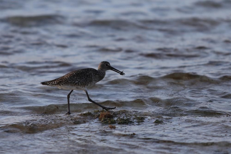 Для тех кто туда, или для тех кто оттуда. (Update)