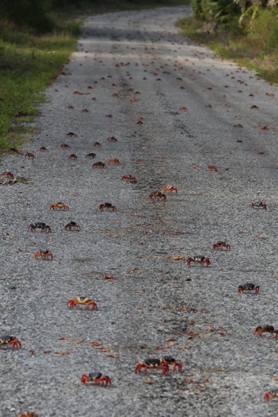 Для тех кто туда, или для тех кто оттуда. (Update)