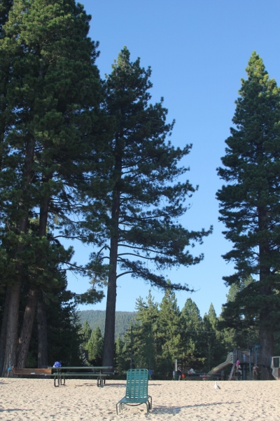 14 000 км на машине вокруг США: от Атлантического океана к Тихому и обратно