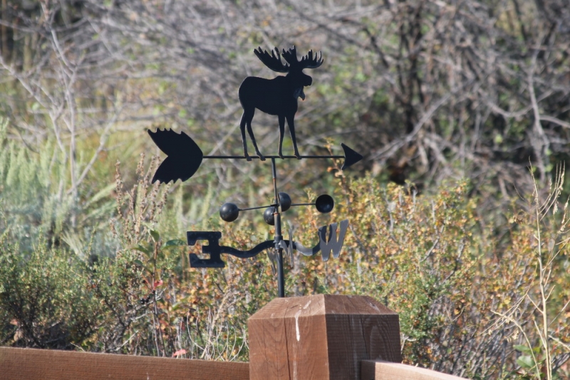 14 000 км на машине вокруг США: от Атлантического океана к Тихому и обратно