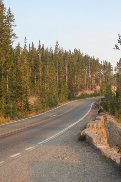 14 000 км на машине вокруг США: от Атлантического океана к Тихому и обратно