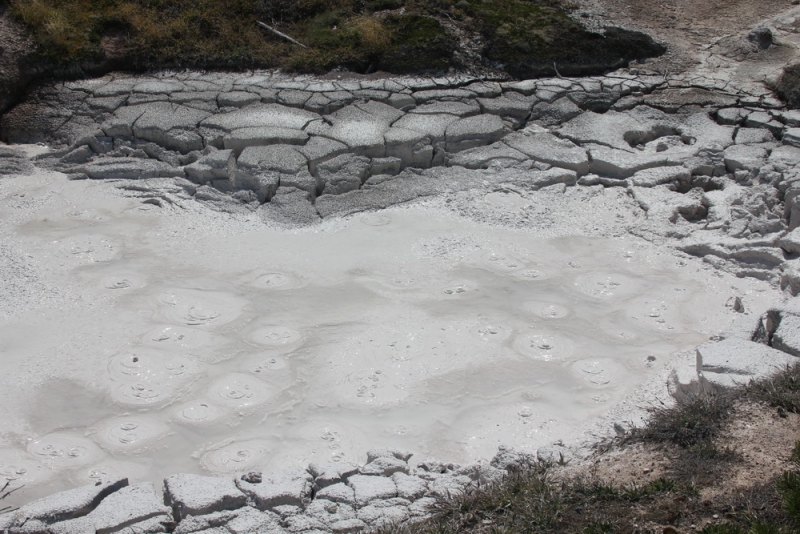 14 000 км на машине вокруг США: от Атлантического океана к Тихому и обратно