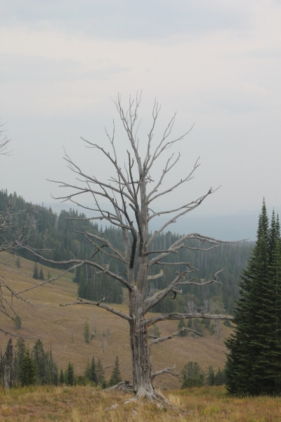 14 000 км на машине вокруг США: от Атлантического океана к Тихому и обратно