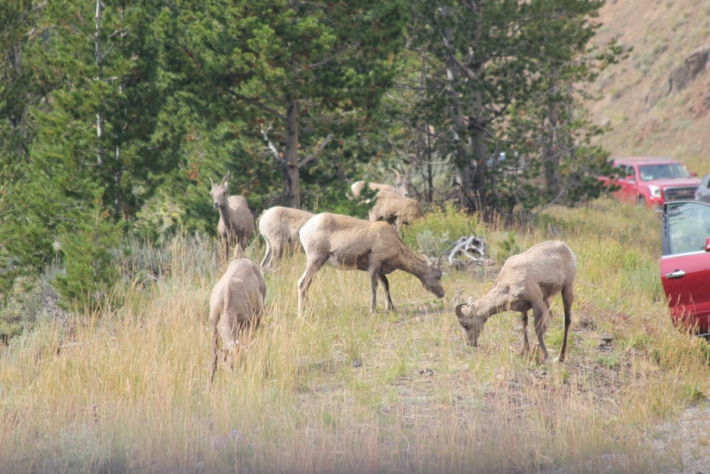 14 000 км на машине вокруг США: от Атлантического океана к Тихому и обратно