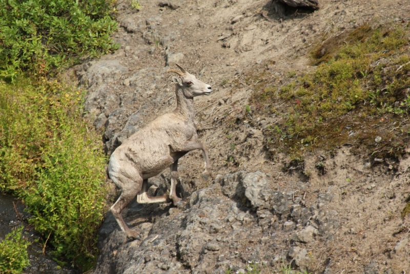 14 000 км на машине вокруг США: от Атлантического океана к Тихому и обратно
