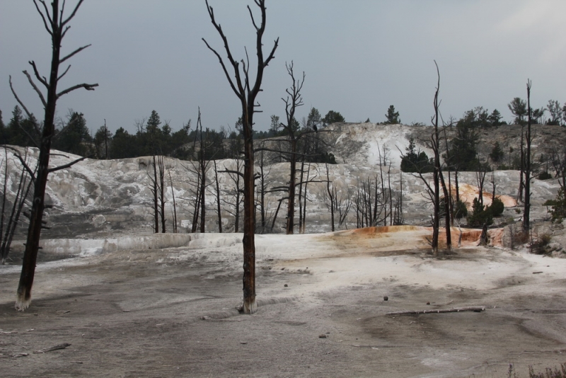 14 000 км на машине вокруг США: от Атлантического океана к Тихому и обратно