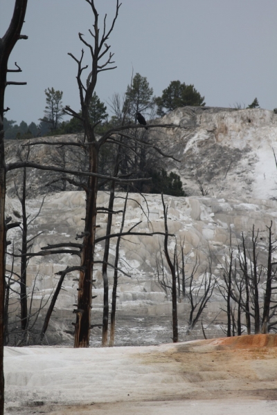 14 000 км на машине вокруг США: от Атлантического океана к Тихому и обратно