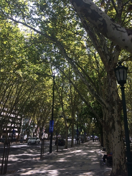 Мало портвейна, или 11-дневный забег Лиссабон-Синтра-Албуфейра