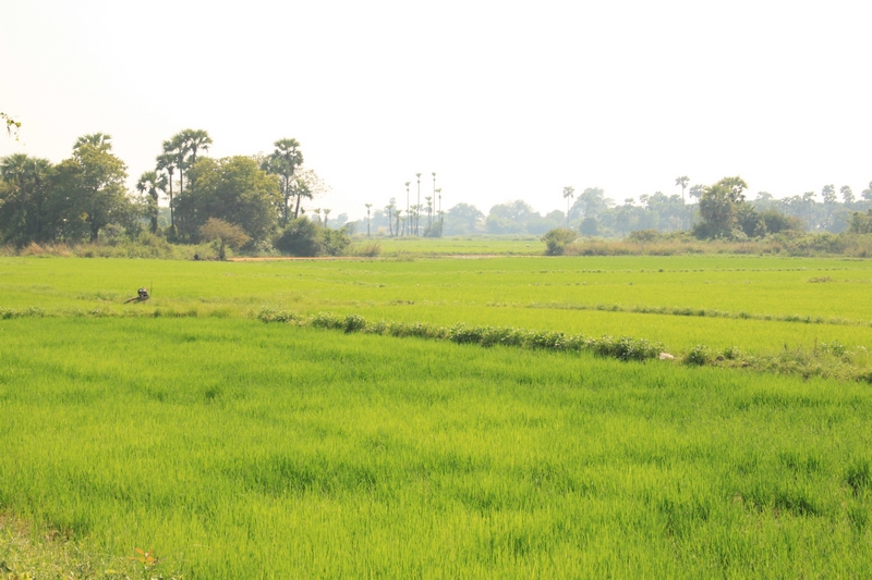 Мьянма весной. Затерянный мир золотых ступ и сияющих улыбок. От Mawlamuine до Monywa