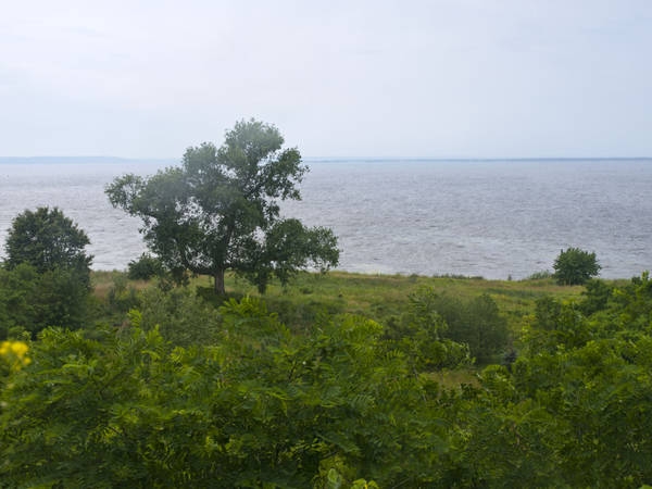 Окрестности Киева. В поисках хлеба и зрелищ. Окрестности Киева. В поисках хлеба и зрелищ.