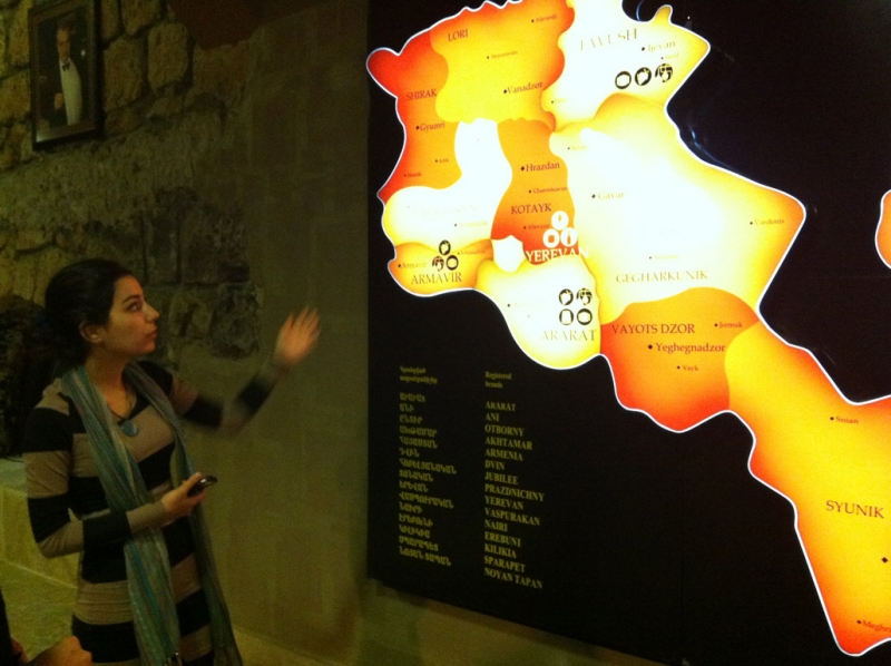 Розовый город. Армения. Ноябрь 2013г.