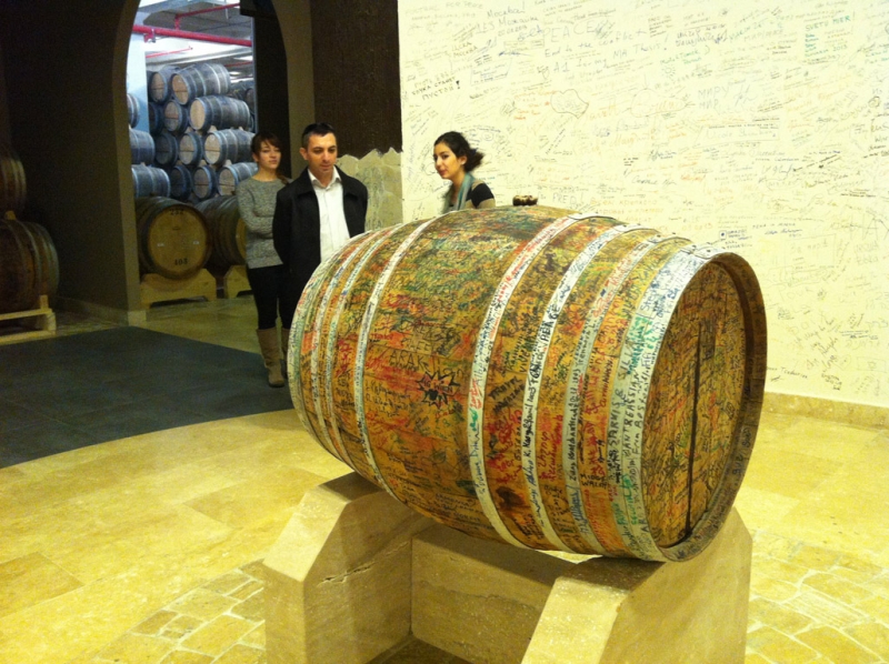 Розовый город. Армения. Ноябрь 2013г.