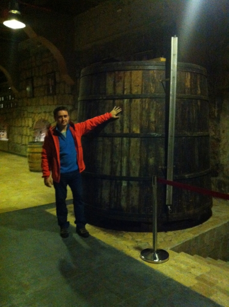 Розовый город. Армения. Ноябрь 2013г.