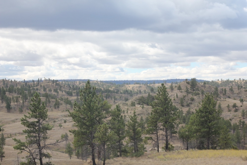 14 000 км на машине вокруг США: от Атлантического океана к Тихому и обратно