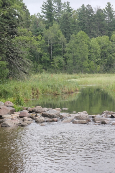 14 000 км на машине вокруг США: от Атлантического океана к Тихому и обратно
