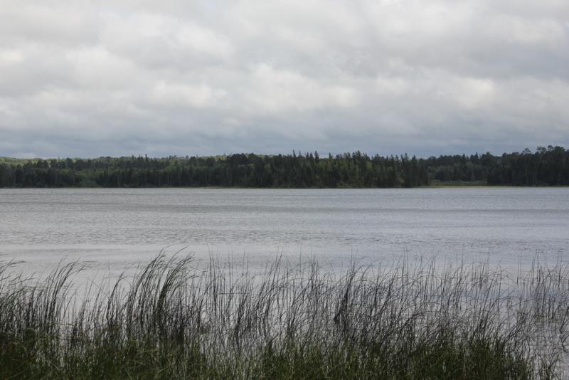 14 000 км на машине вокруг США: от Атлантического океана к Тихому и обратно