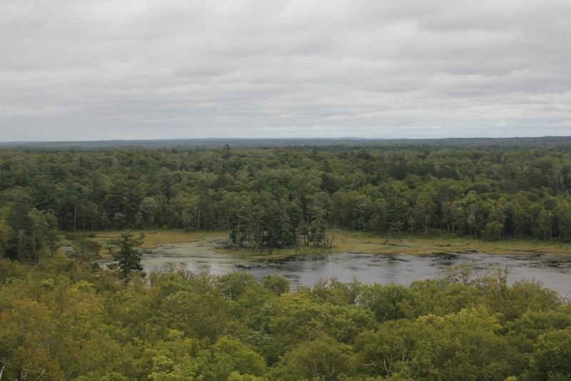 14 000 км на машине вокруг США: от Атлантического океана к Тихому и обратно