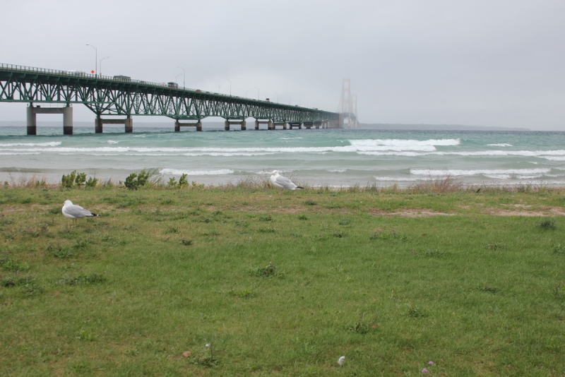 14 000 км на машине вокруг США: от Атлантического океана к Тихому и обратно