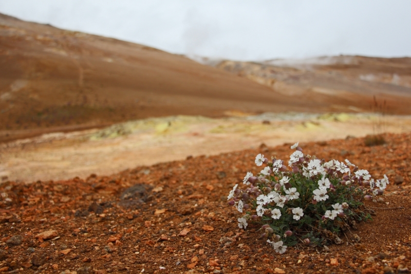 Восемь-десять дней вокруг света