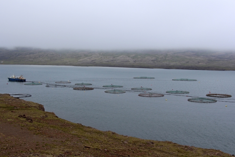 Восемь-десять дней вокруг света