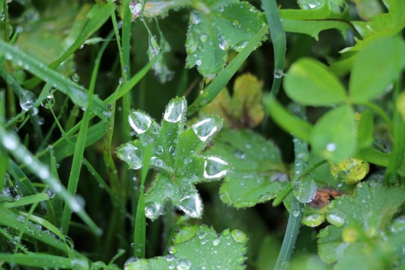 Восемь-десять дней вокруг света